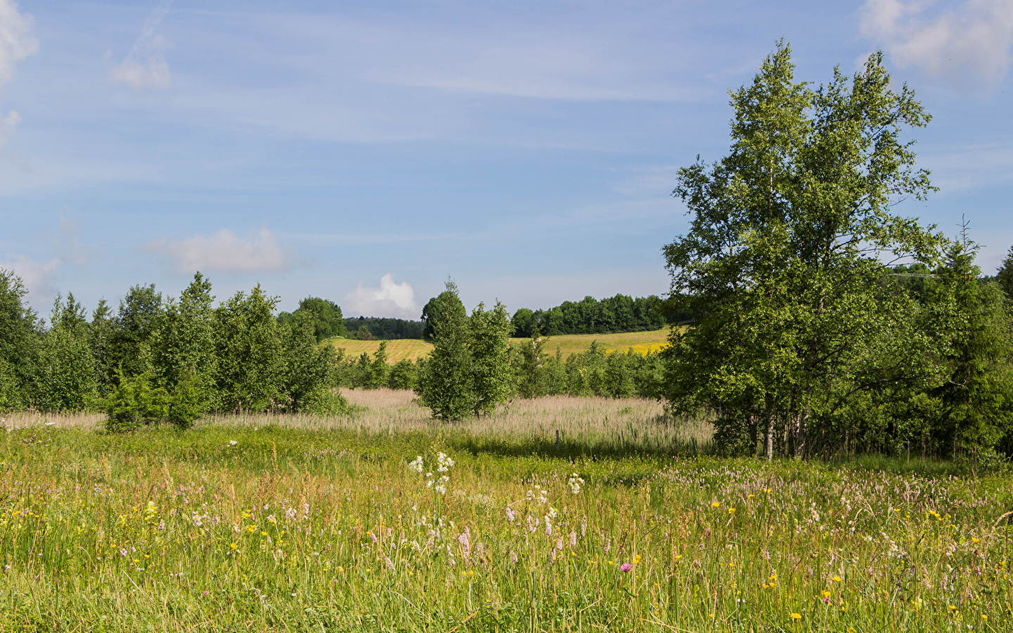 Der See von Fort-du-Plasne