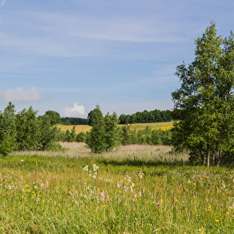 Der See von Fort-du-Plasne - FORT-DU-PLASNE