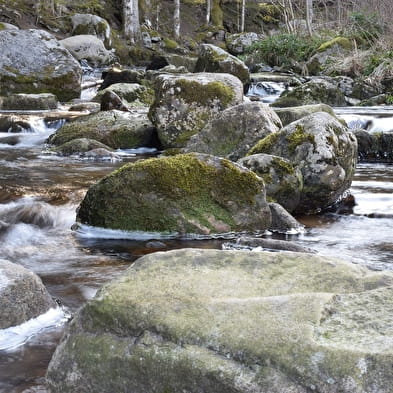 Wasser vom Fluss bis zum Wasserhahn