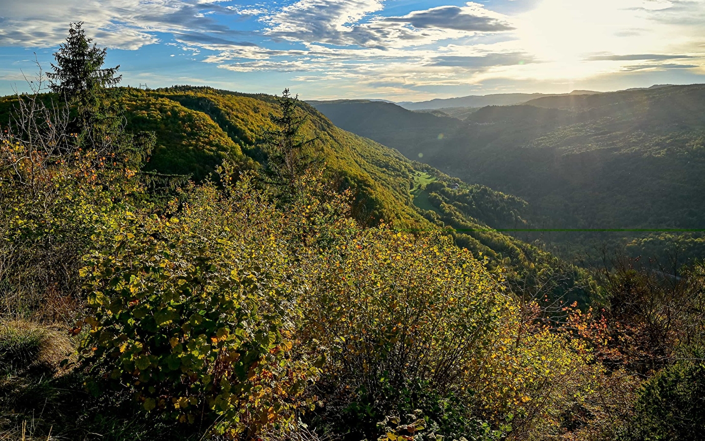 Direkter Zugang zum Cuvet