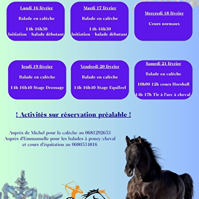 Bogenschießen vom Pferd aus