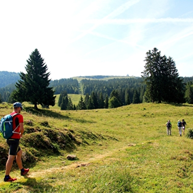 La Grande traversée du Jura à pied - GTJ pédestre