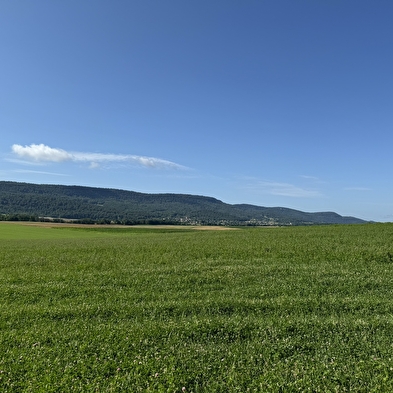 Palise-Pfad