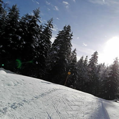 Piste bleue de ski nordique - Apremont