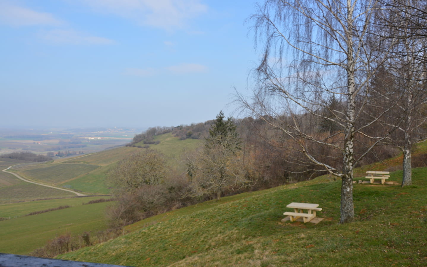 Belvedere du vignoble de Pupillin