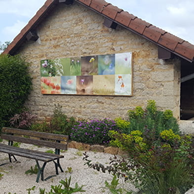 Exposition Photo Nature - parcours extérieur