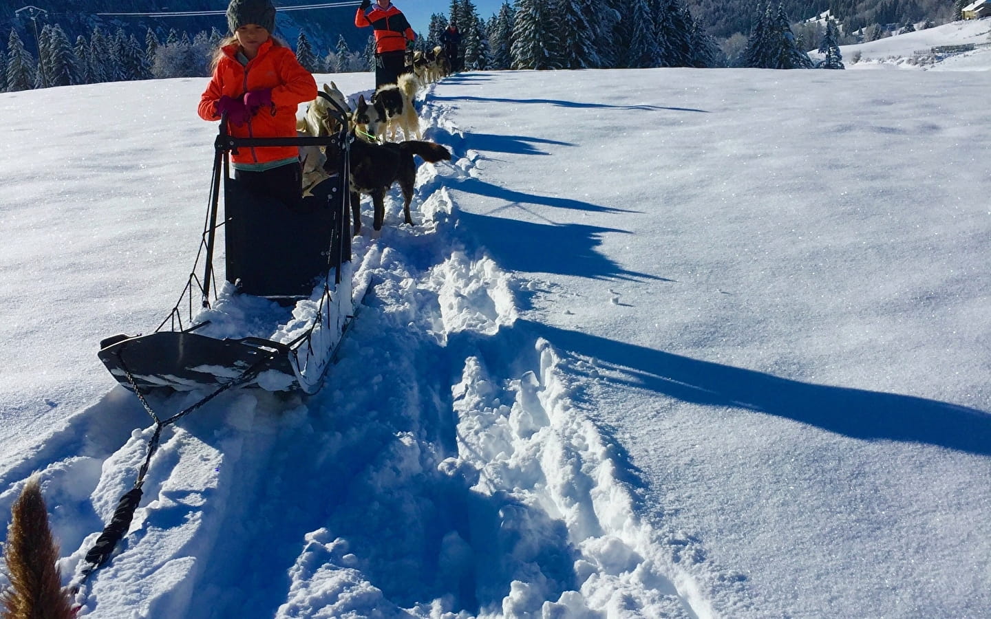 Initiation à la conduite de traîneaux à chiens avec Qimmiq