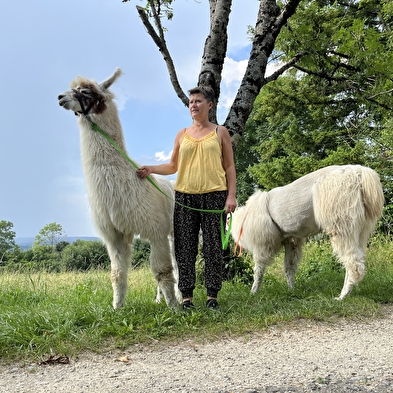 Wanderung mit Lamas