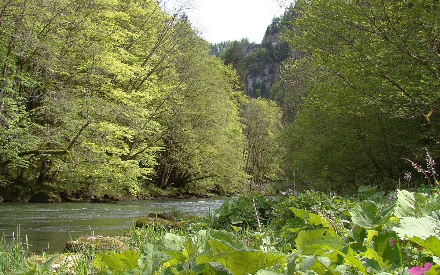 Steinpfad von Vorges