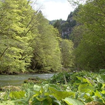 Steinpfad von Vorges - GOUMOIS