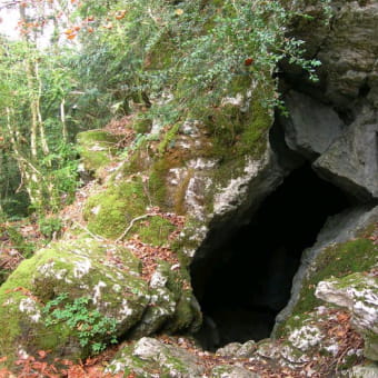 Grotte à l'ours - NIVIGNE ET SURAN