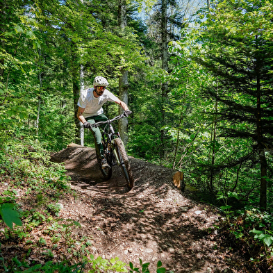 Bike Park des Monts Jura - Domaine de Lélex