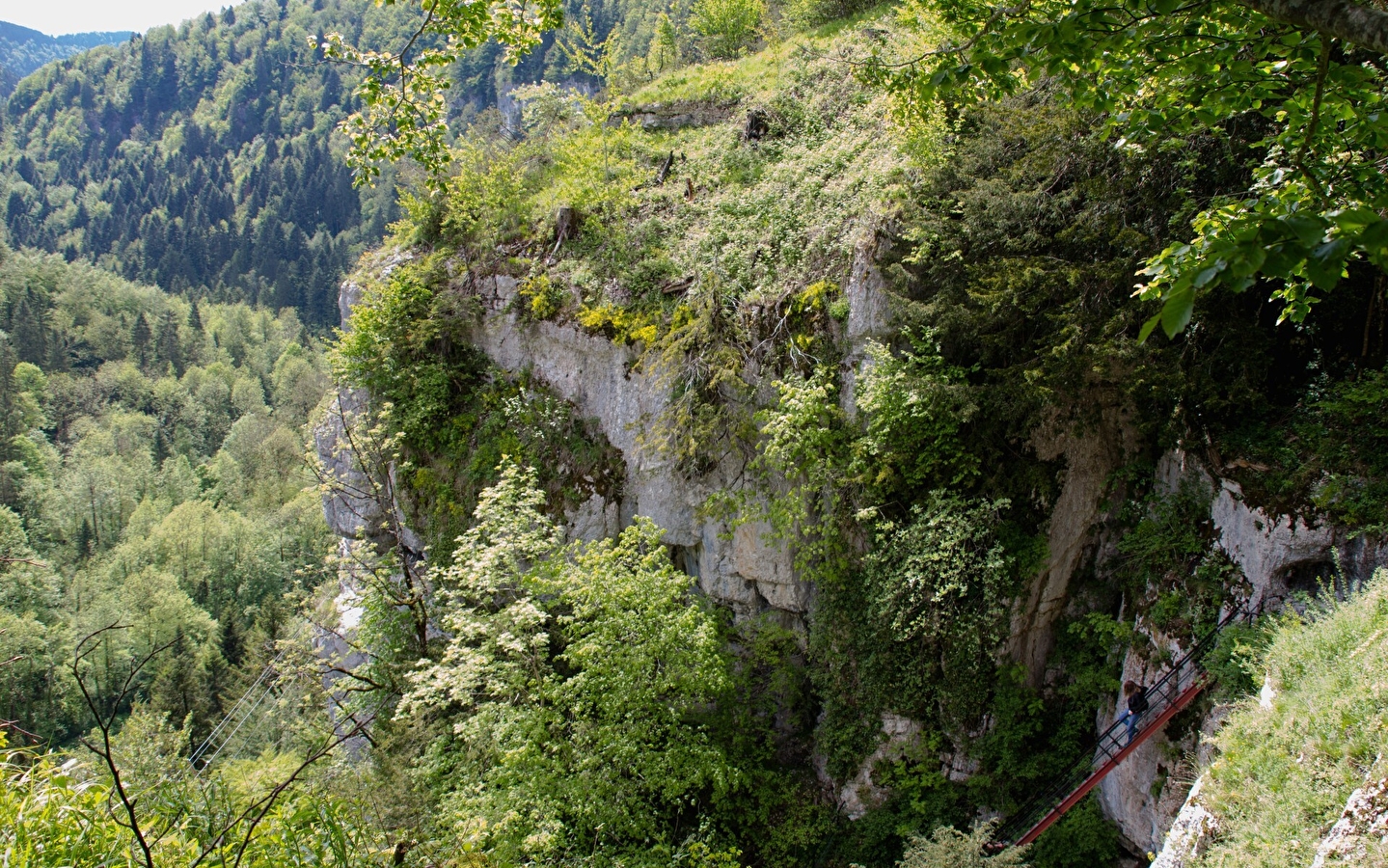 Die Leitern des Todes