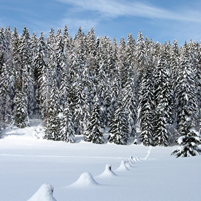 Site Nordique de Apremont