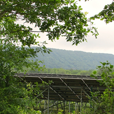 Lehrpfad auf der Solarfarm