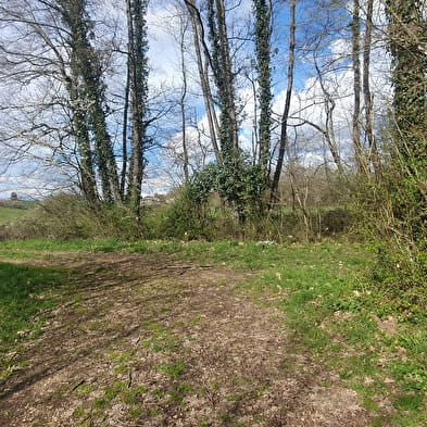 Beaupont - Etang Les Baisses (VTT)