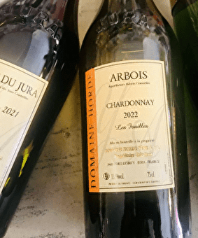 Domaine Yves HORDÉ - PORT-LESNEY