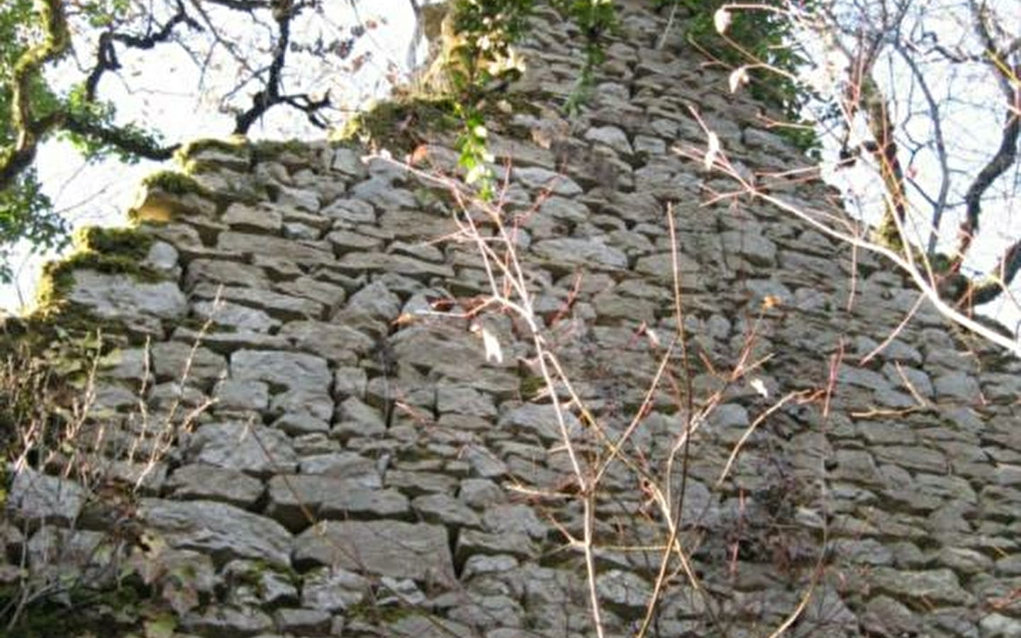 Maison forte de Lomont