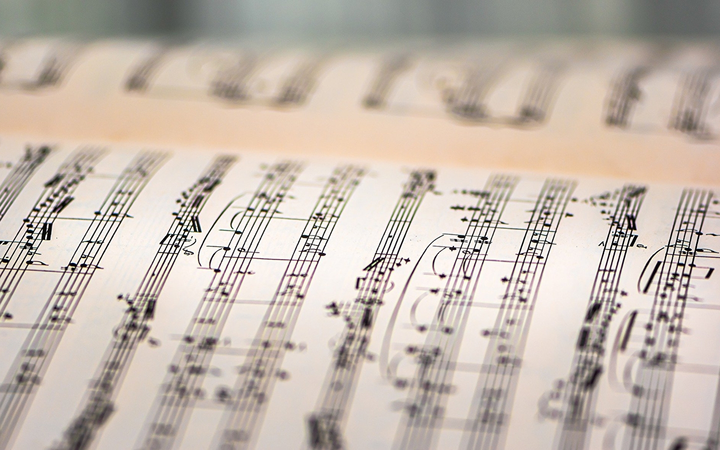 Entdeckungssitzung Musiktherapie Botanik