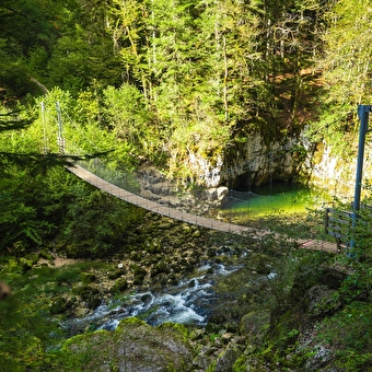 Rundgang Entdeckung der Bielersee - HAUTS DE BIENNE