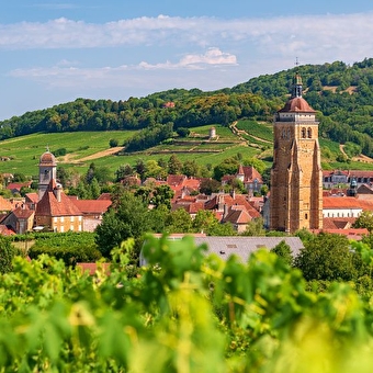 Ausflug in die JURA: Terroir und Comté -