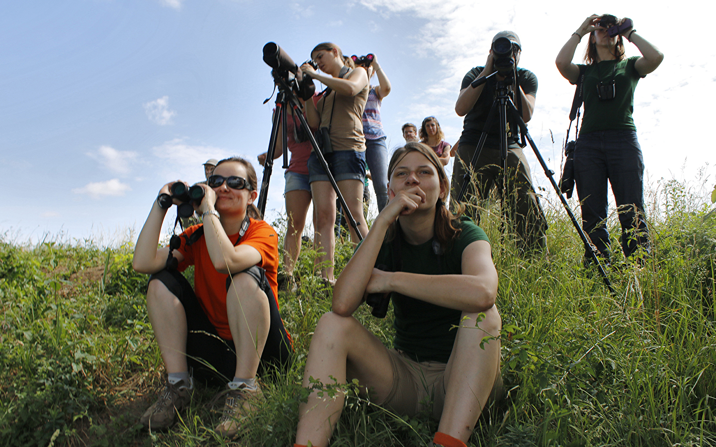 Zählung der überwinternden Wasservögel in den Becken von Saint-Vit und Osselle