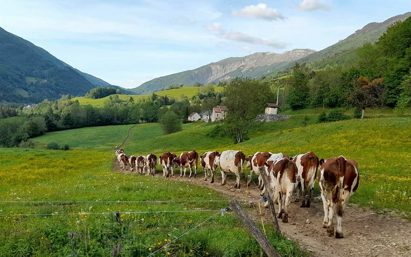 Gaec du Ban du char