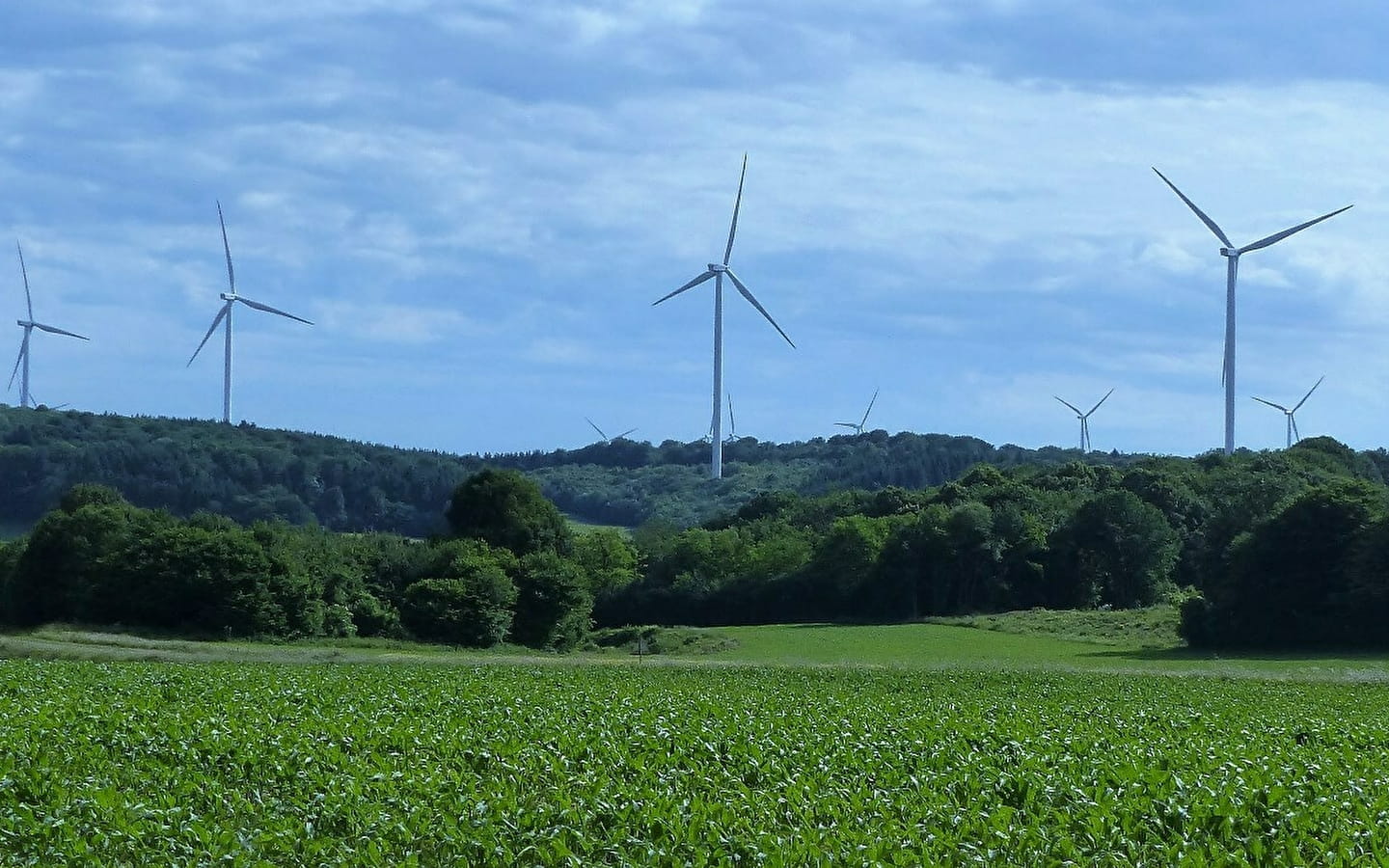 Pfad zur Erkundung der Windräder in Fontenelle-Montby