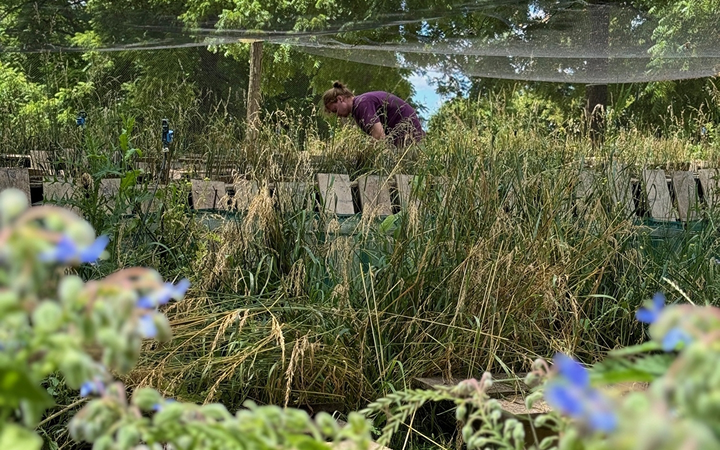 Besichtigung der Schneckenparks und Verkostung von Produkten des Bauernhofs