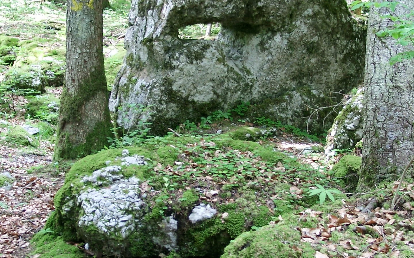 La Pierre Percée (Der durchbohrte Stein)