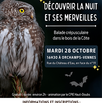 Balade crépusculaire