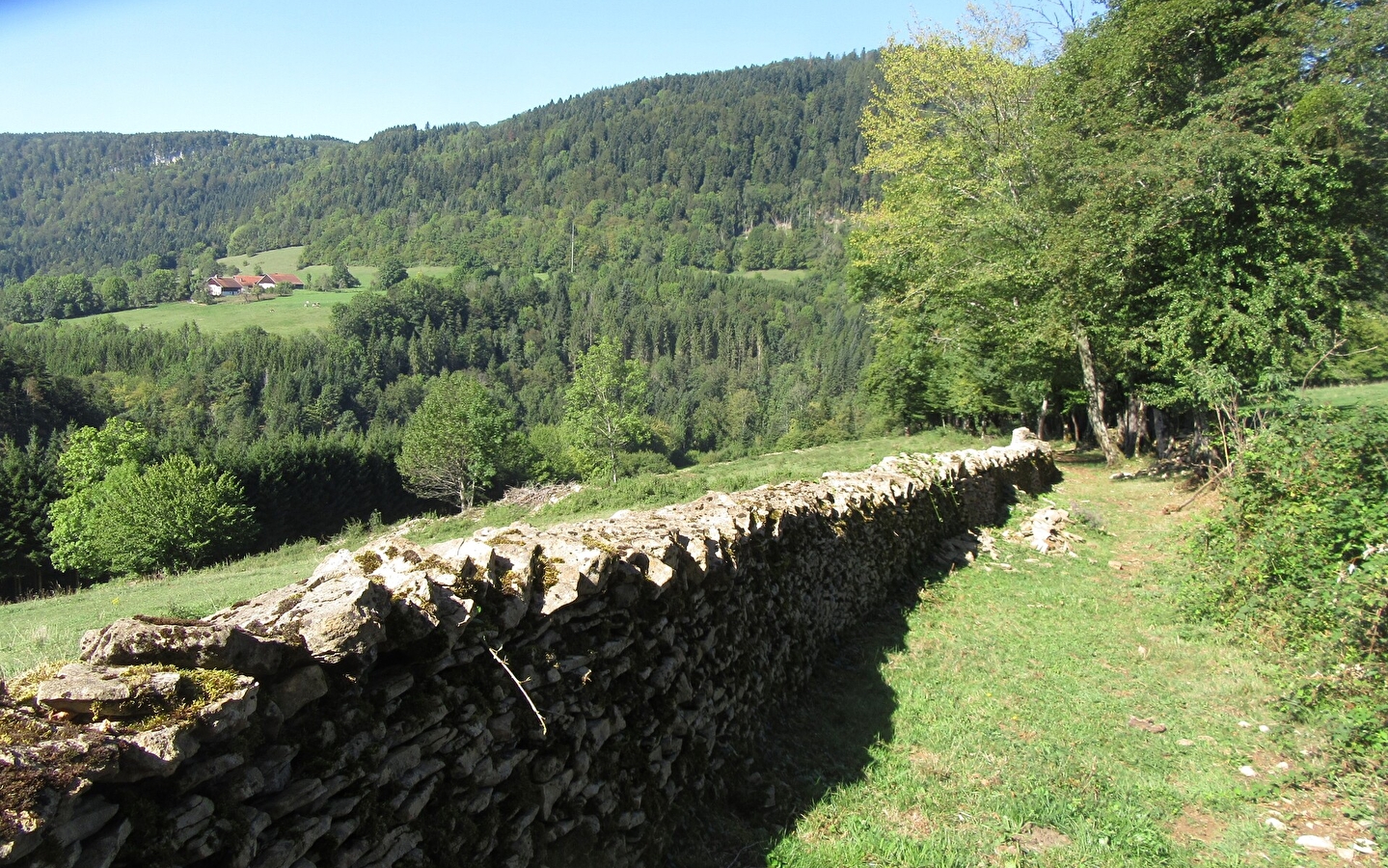Mauer-Steinmauer(n)