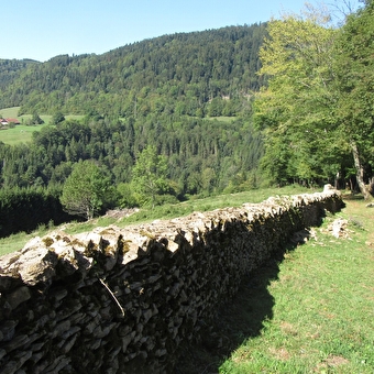 Mauer-Steinmauer(n) - LAVAL-LE-PRIEURE