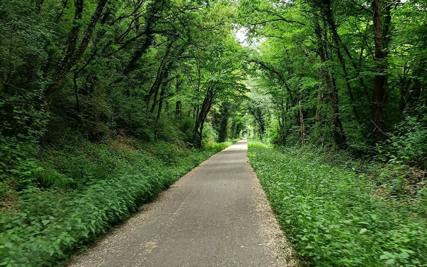 Rundgang durch den Bois des Cantons