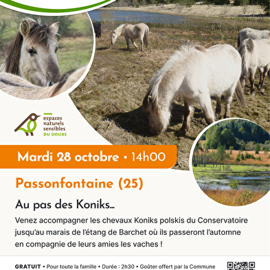 Naturausflug ' Au pas des Koniks' (Im Schritt der Koniks)