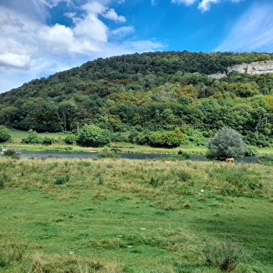 Circuit de randonnée pédestre - sous-buen
