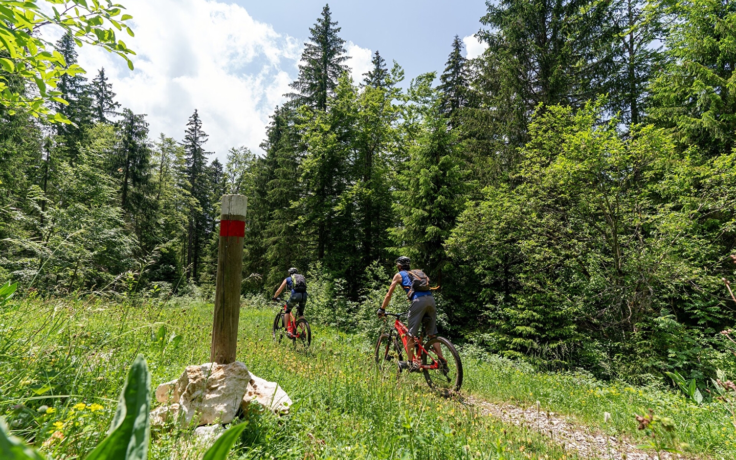 Tour du Risoux Mountainbike Nr. 17