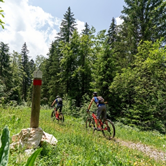 Tour du Risoux Mountainbike Nr. 17 - BELLEFONTAINE