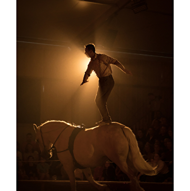 Die Automatische Kellnerin