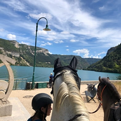 Stages et balades à cheval ou poney au Domaine équestre de la Maurinière