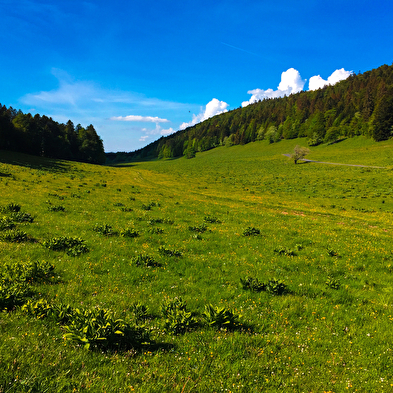 Col du Grand Colombier, ENS de l'Ain