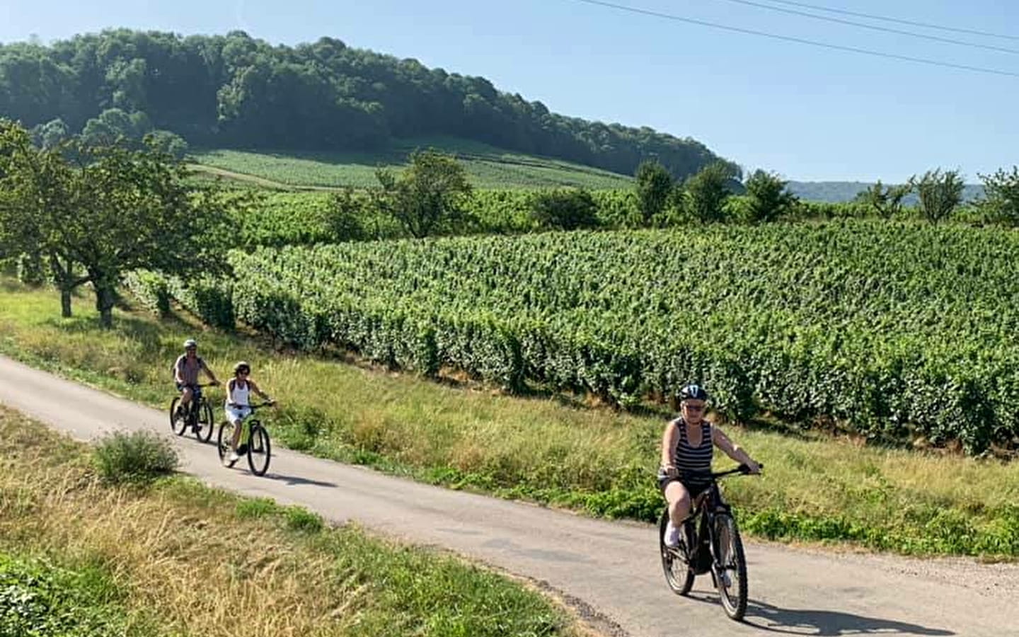 Entdeckung des Weinbergs mit dem Fahrrad