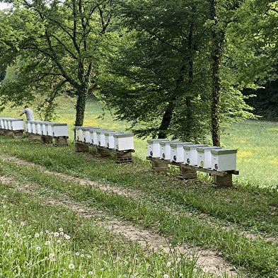 Les miels de Franche-Comté