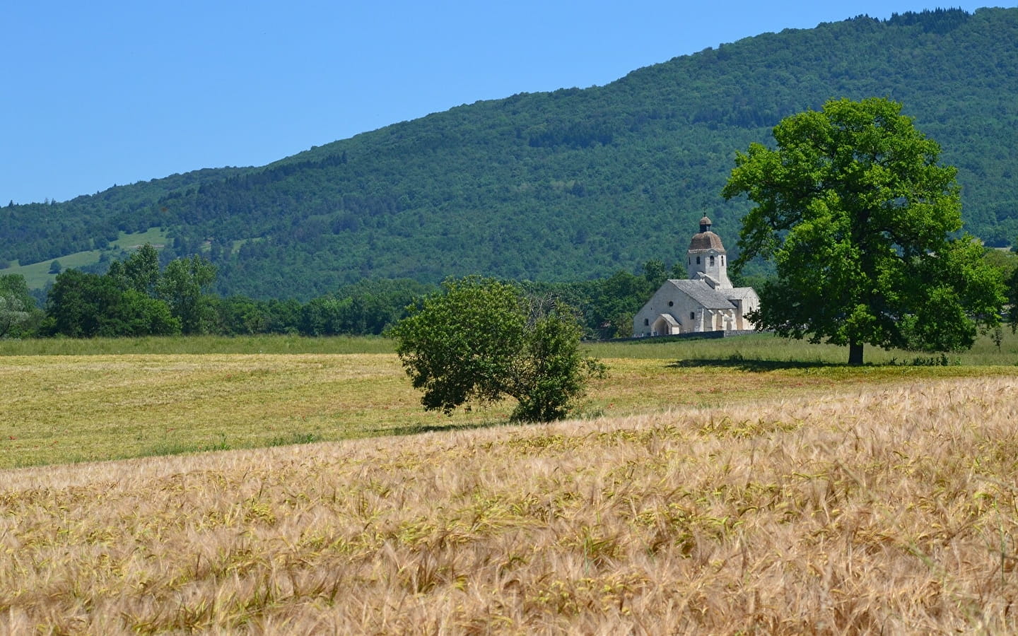 Zwischen Kirchen und Schlössern