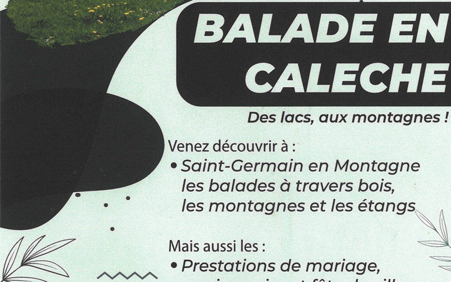 Balade en calèche des lacs, aux montagnes !